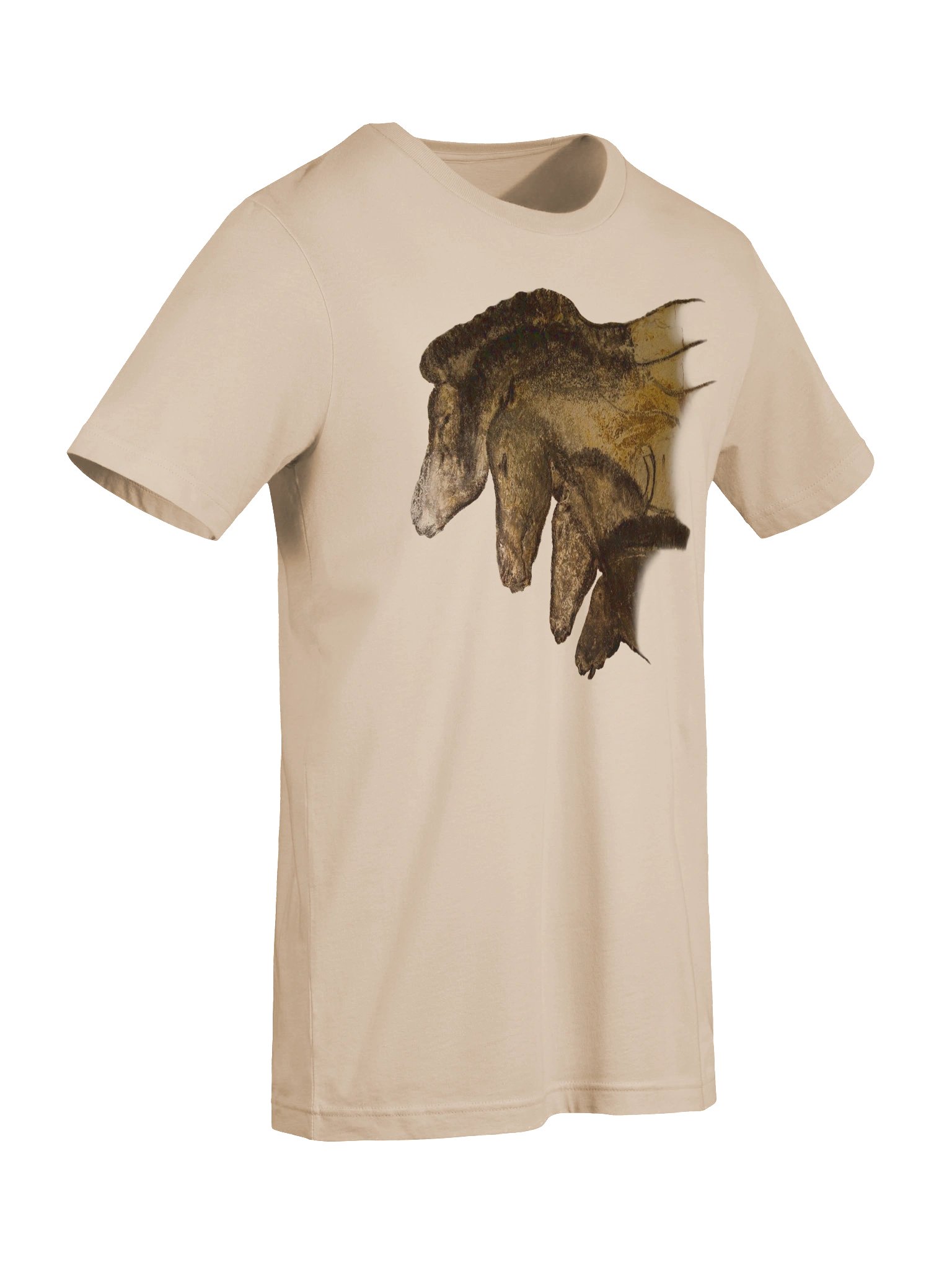 Chauvet Horses Unisex t-shirt product image (69)