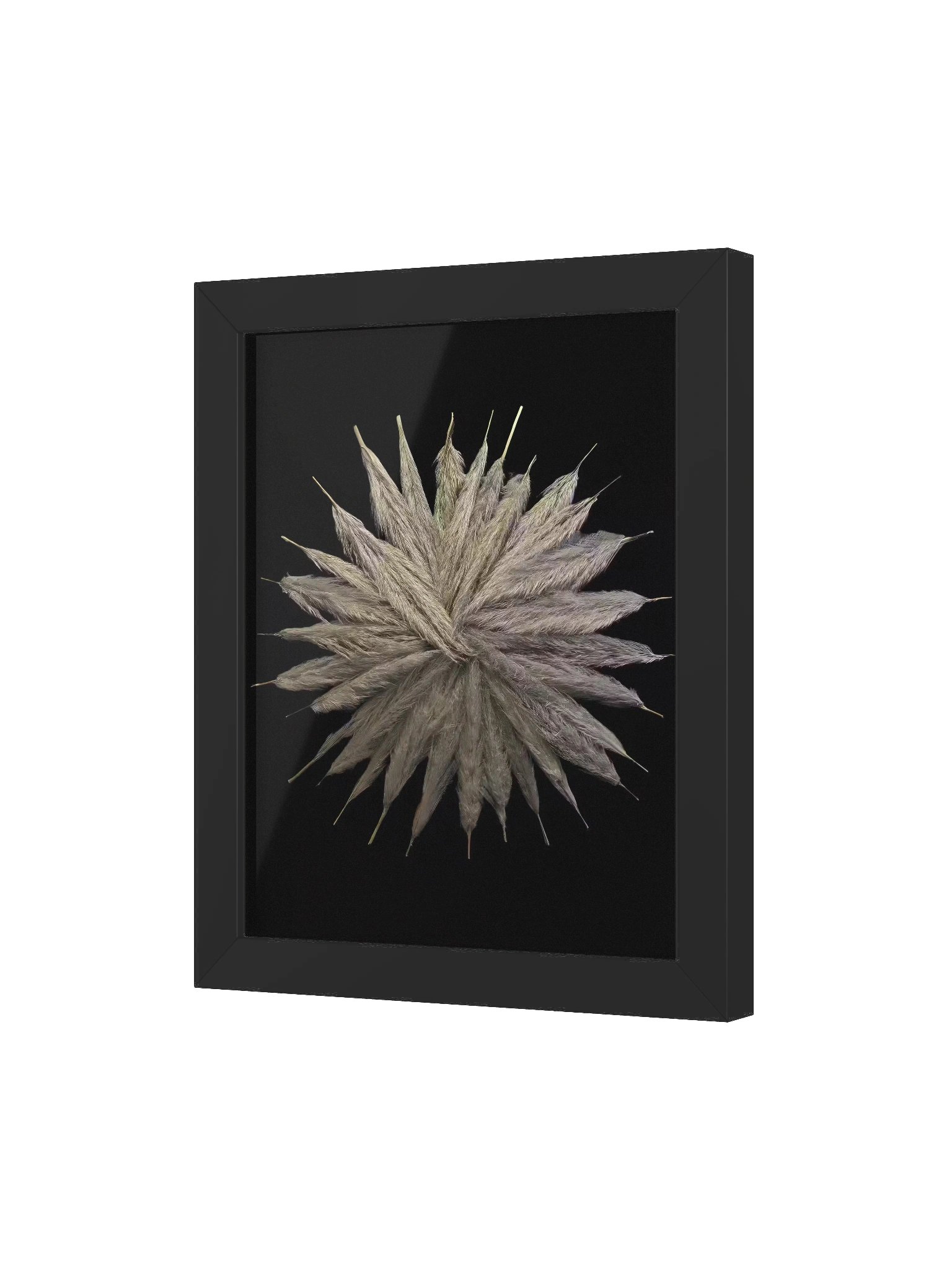 Joint Feathers product image (15)