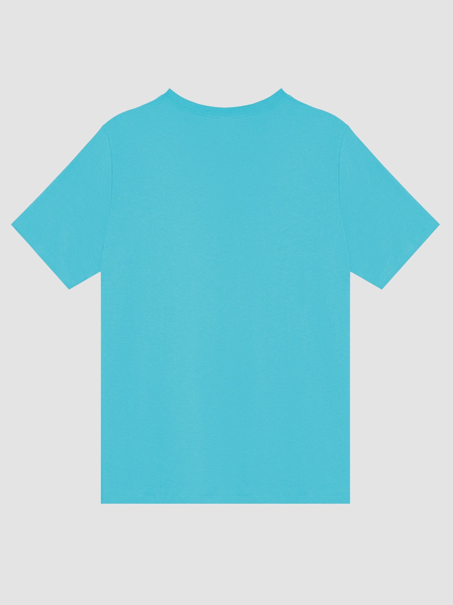 Pickle Social Club Pickle Jar V-Neck Tee product image (26)
