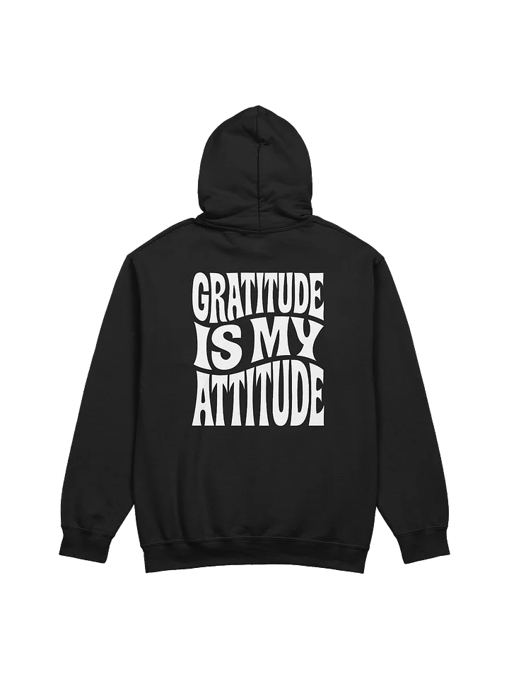 Gratitude Is My Attitude Hoodie product image (1)