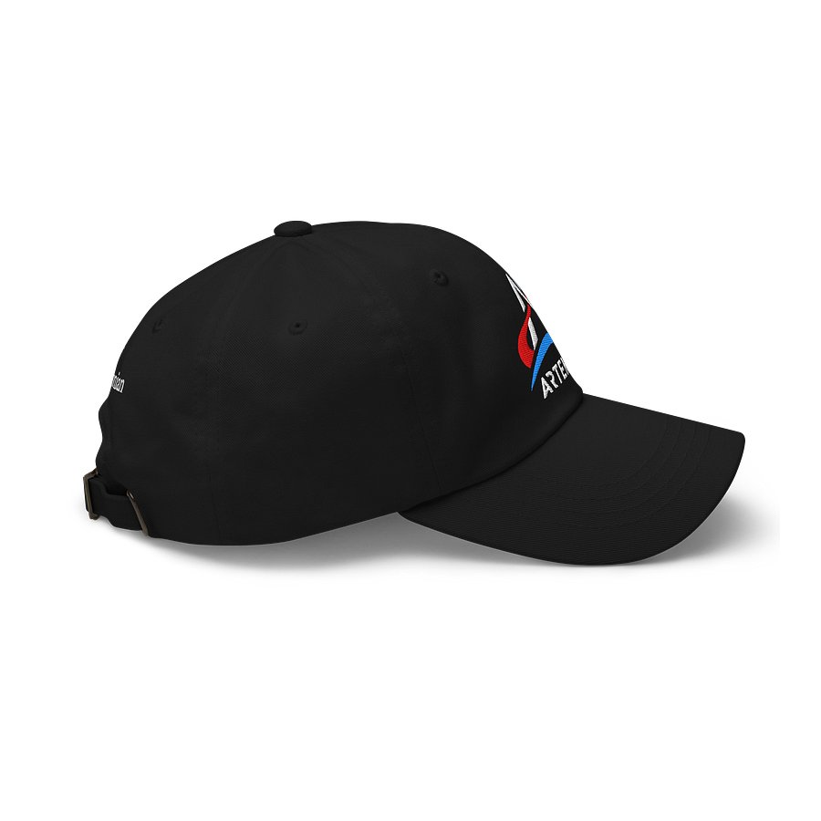 Artemis Logo Hat Image 3