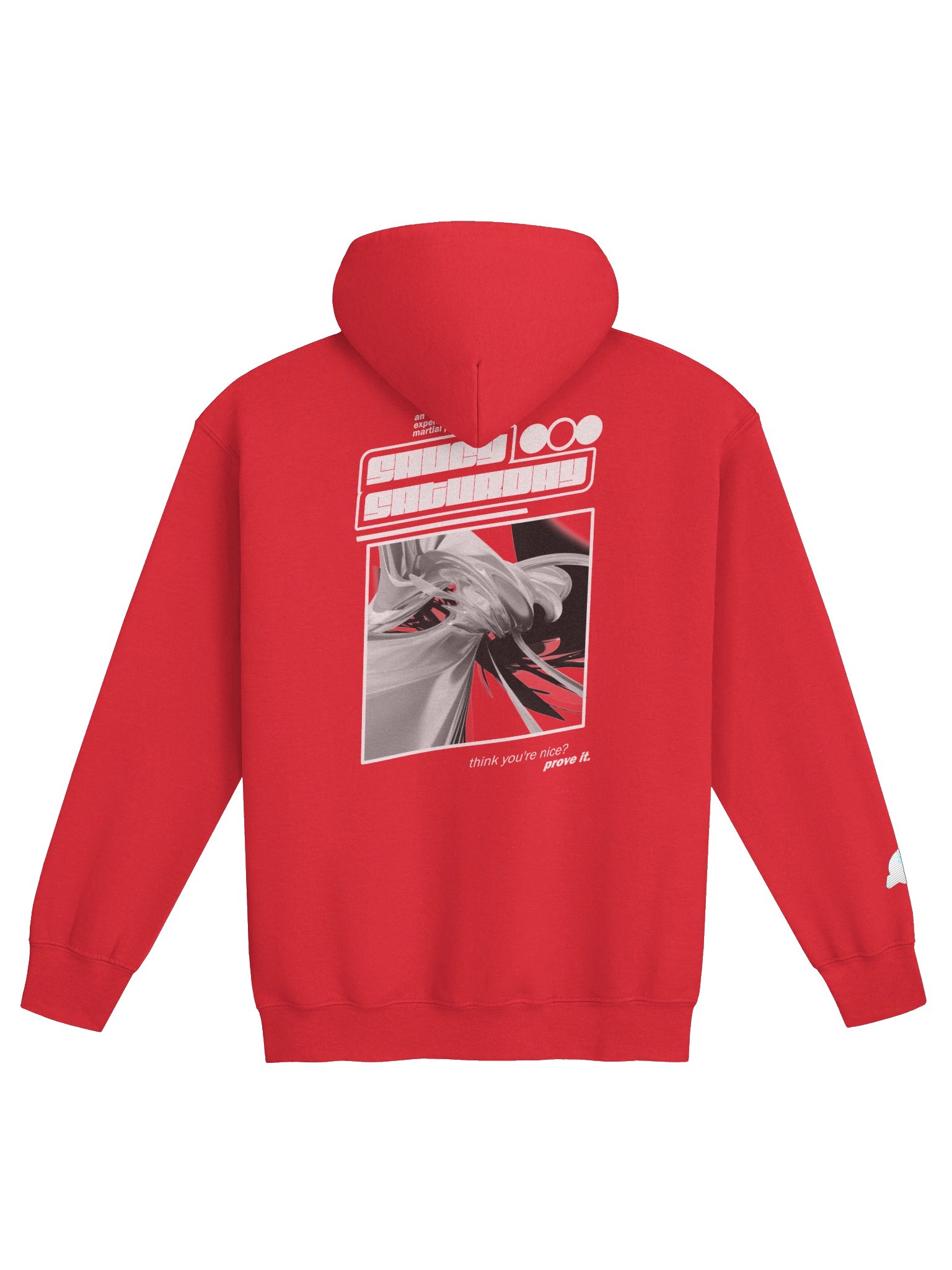 Saucy Rave Dojo Zip Hoodie product image (34)