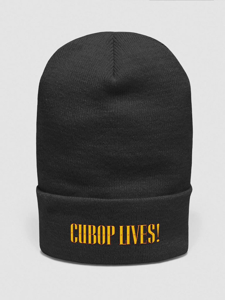 Cubop Lives Beenie Opt 1 product image (1)