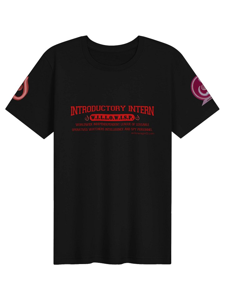 Introductory Intern Varsity Soft Tee product image (1)