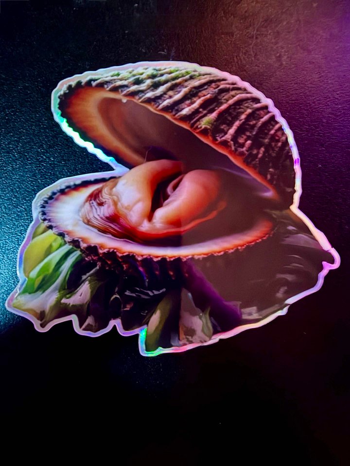 ClamSlam Sticky product image (1)