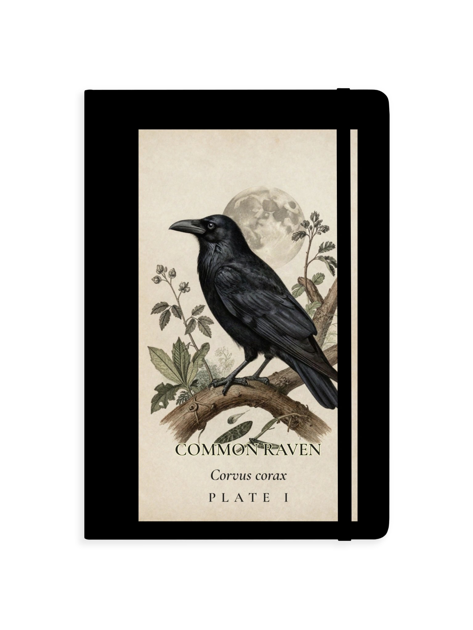 Common Raven Naturalist Journal product image (1)