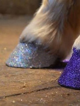 Hoof Polish (Nail Polish Safe for Animals) product image (8)