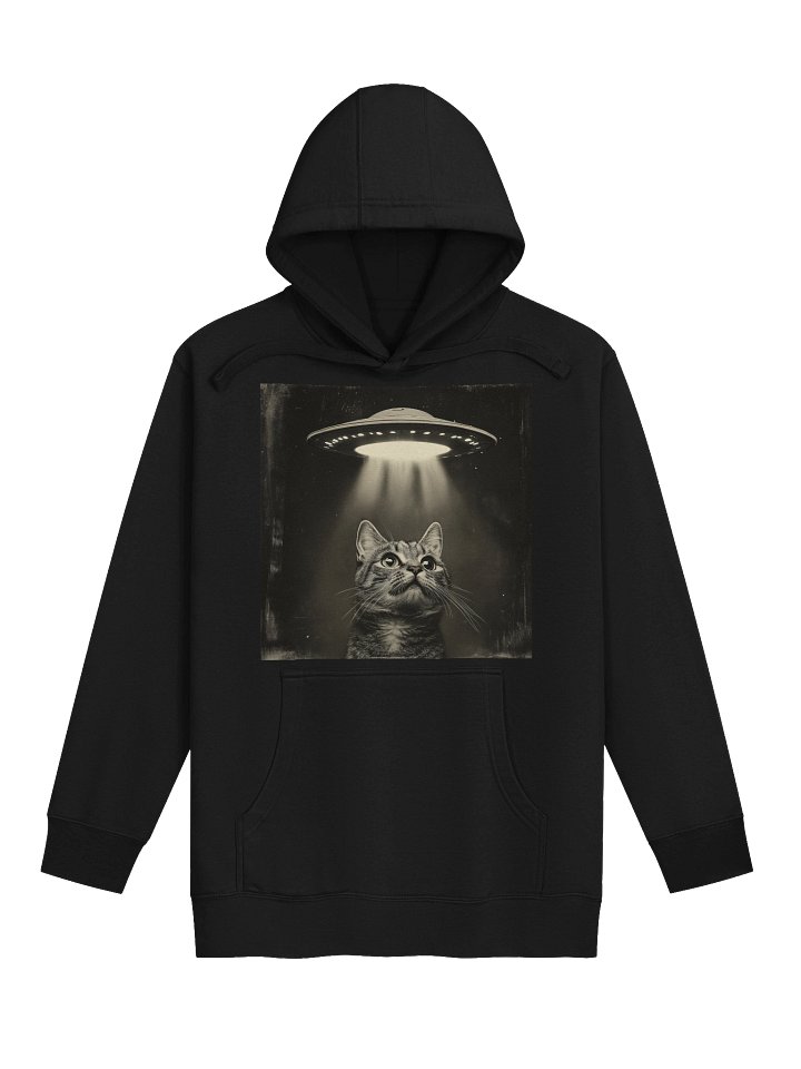 Cat Encounters Hoodie product image (6)