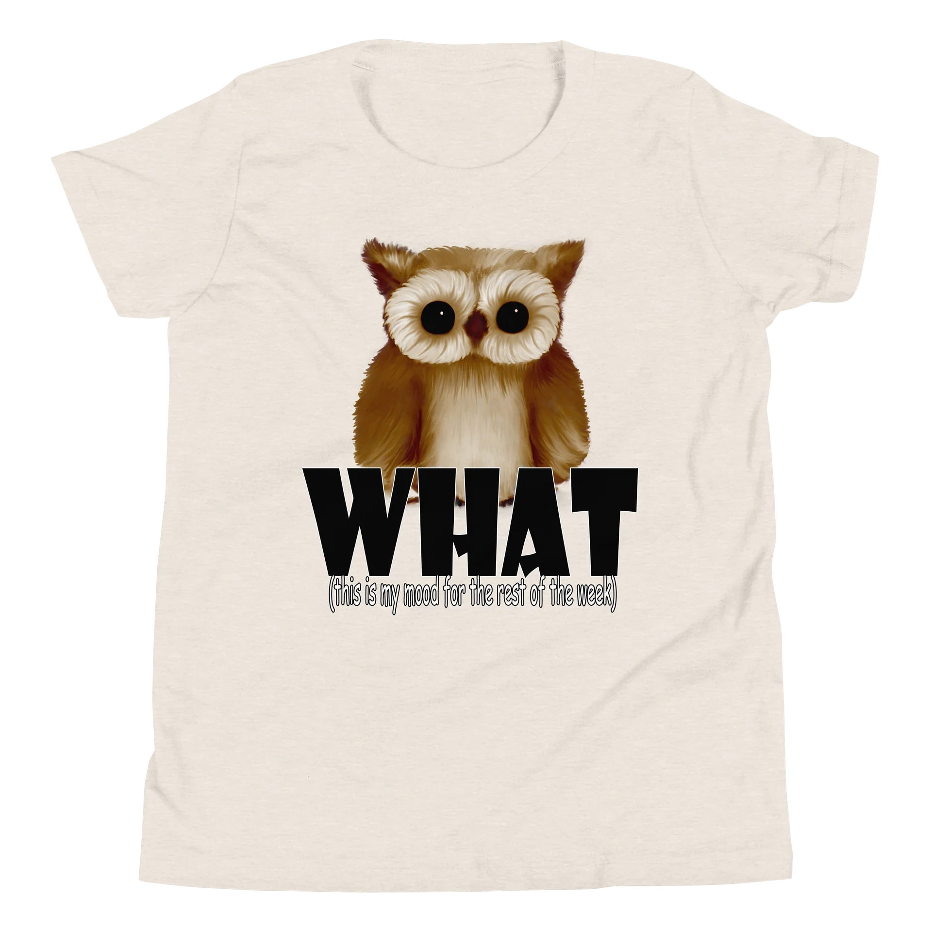 Owl "WHAT" T-Shirt. Youth Short Sleeve T-Shirt - Bella+Canvas product image (1)