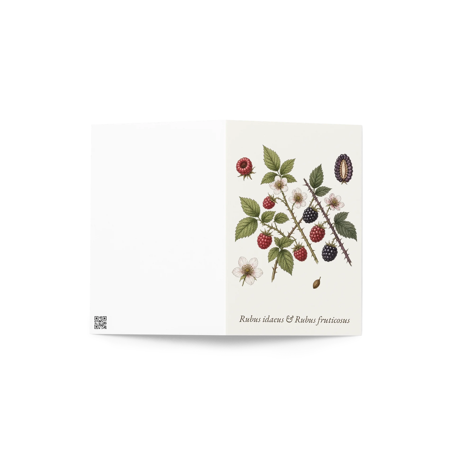 Vintage Botanical Raspberry & Blackberry Greeting Card product image (4)