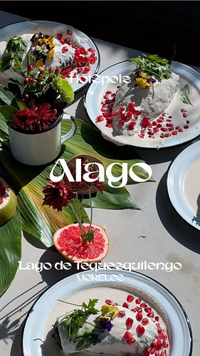 Aprendiendo a hacer CHILES en NOGADA a la orilla del lago con el Chef Arturo Sosa en Alago 🧑‍🍳🇲🇽

Una gran experiencia organi...
