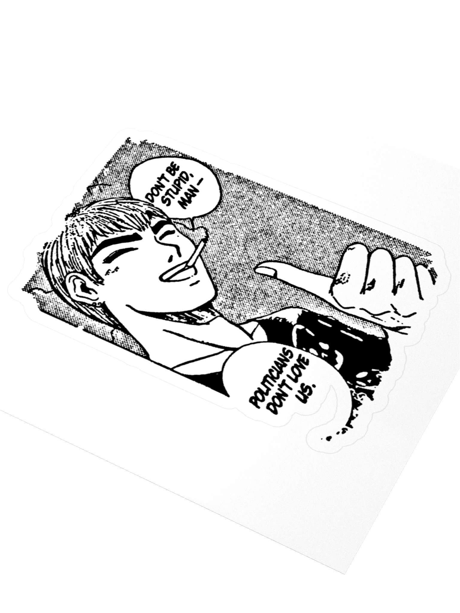 DON'T BE STUPID ! STICKERS product image (3)