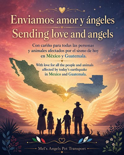 Enviamos amor y ángeles a México y Guatemala

El fuerte sismo de hoy se sintió en el sur de México, Guatemala y otras regione...