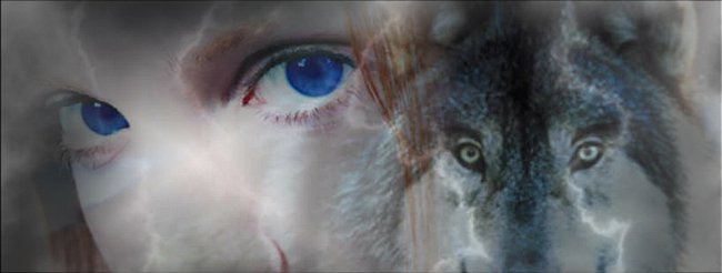 Eye of the Storm series (and side stories)