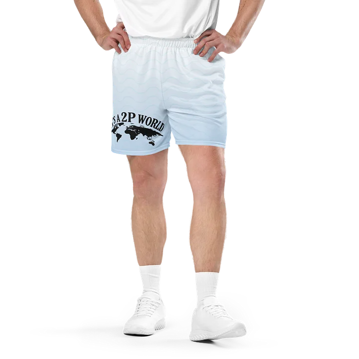 2P World Shorts product image (1)