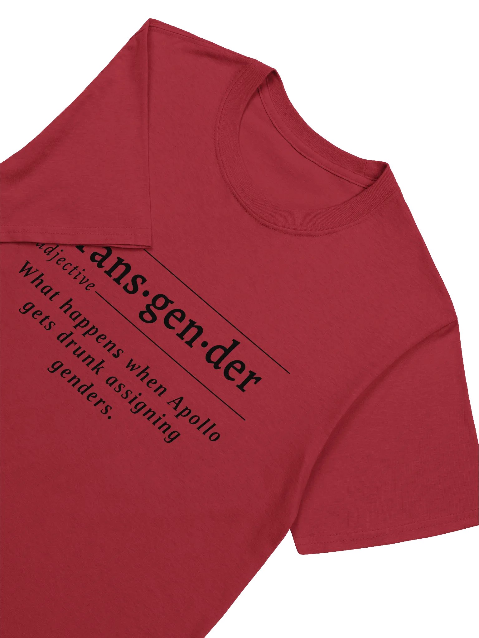 Transgender Def Unisex Tee v2 product image (2)