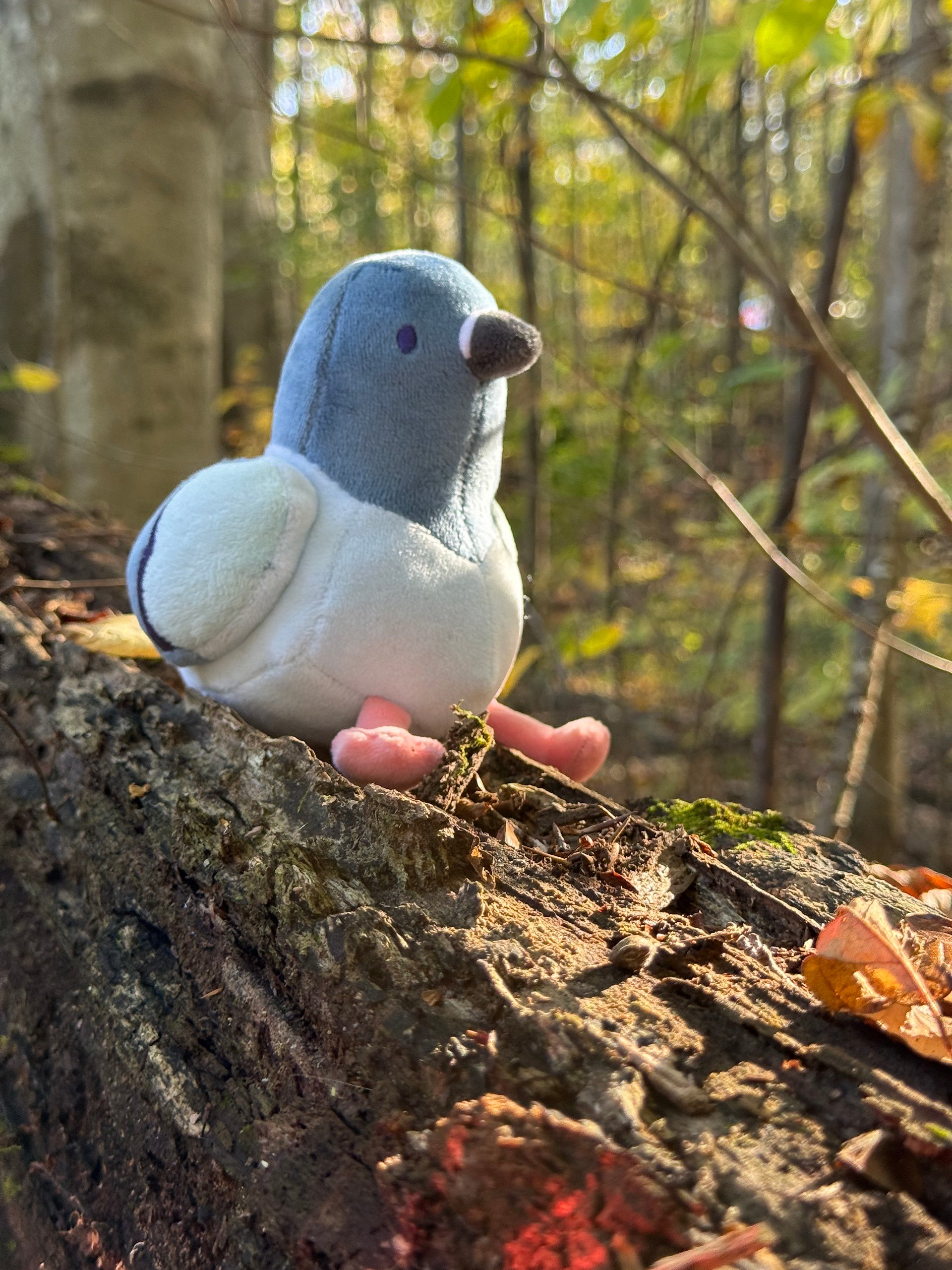 Pigeon BORB Plush product image (1)