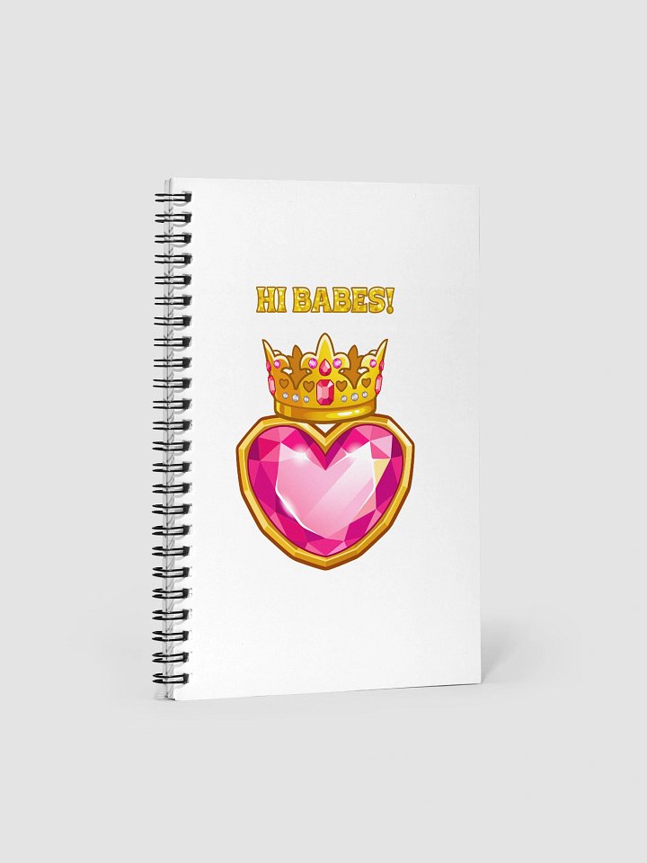 "Hi Babes!" Spiral Notebook product image (1)