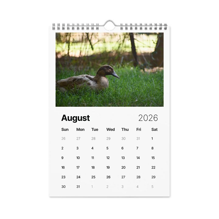 Quatie's Quackers 2026 Calendar product image (2)