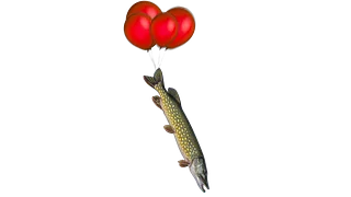Fishing Enthusiasm Store