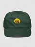 Logo Hat