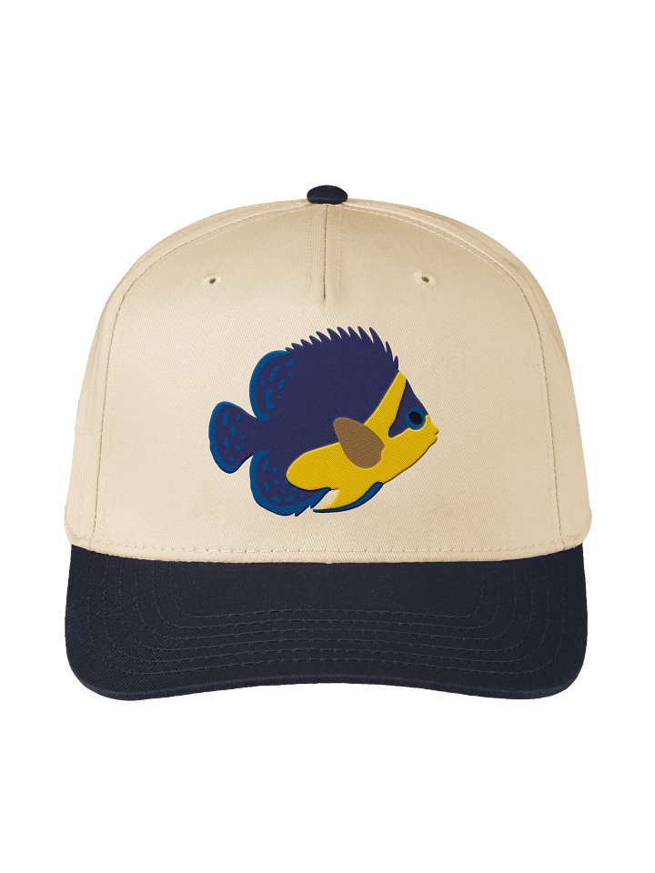 Venustus Angelfish Embroidered Mid-Profile Baseball Cap | Marine Reef Fish Hat product image (5)