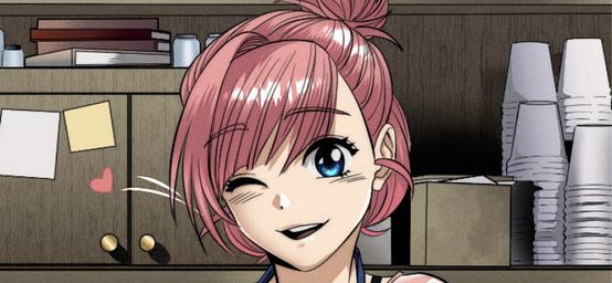 The Professional Barista