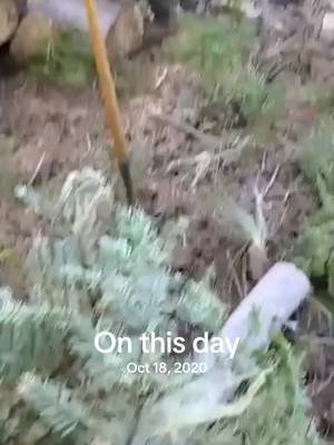 #onthisday 