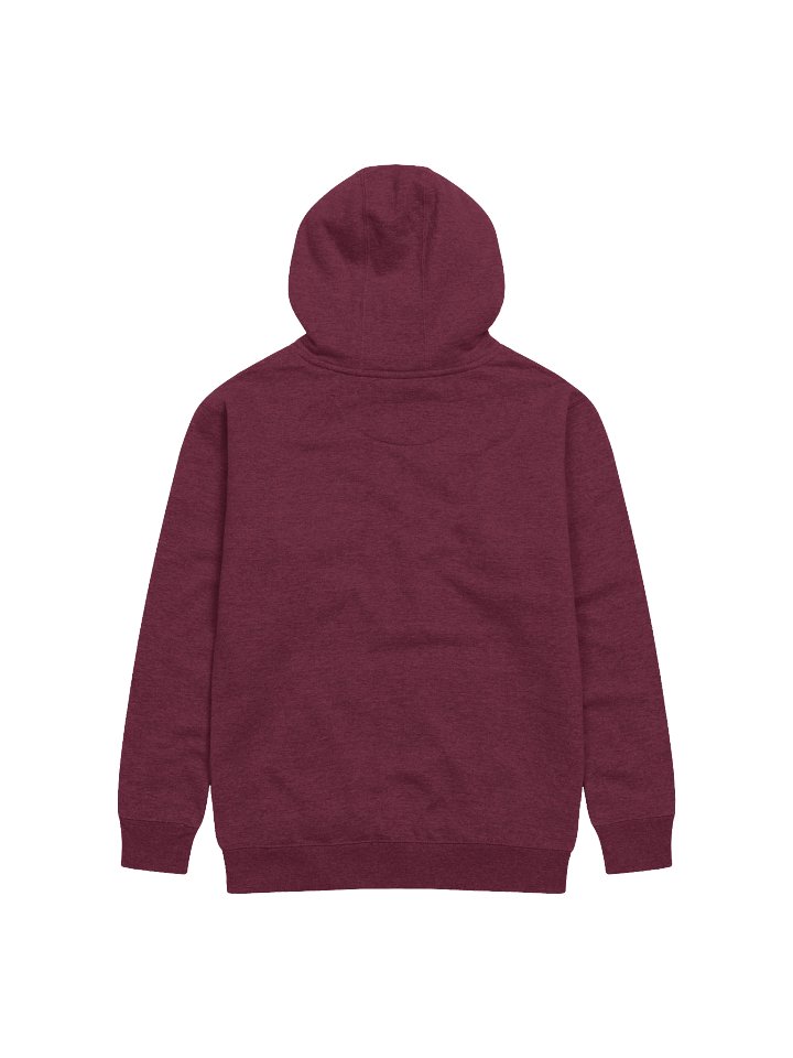 Byte Samples Sushi Hoodie product image (2)