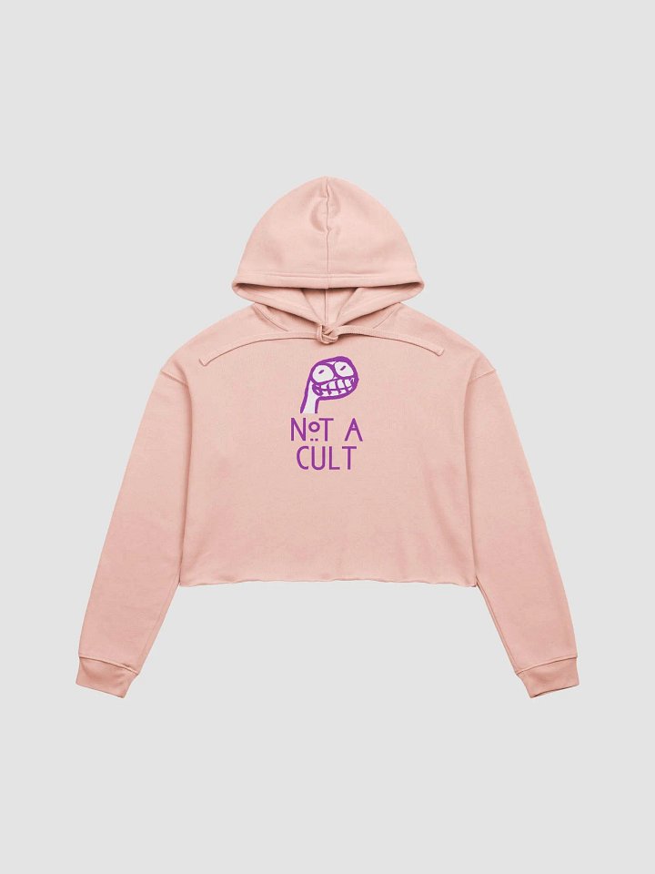 Not a Cult Crop Hoodie product image (2)