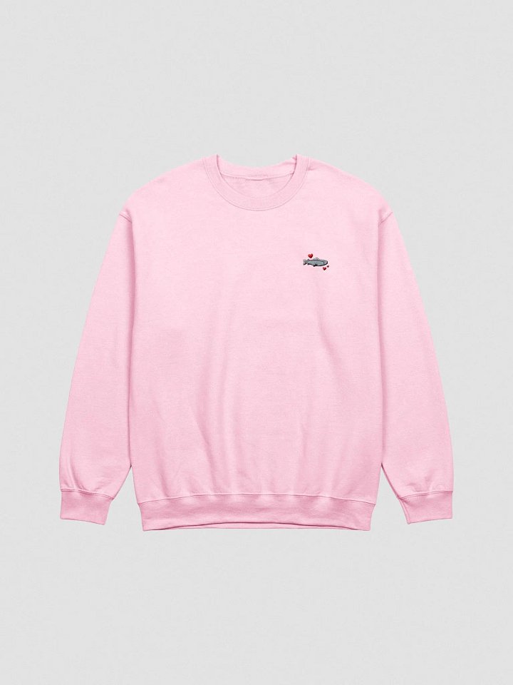 actually salmon embroidered crewneck product image (11)