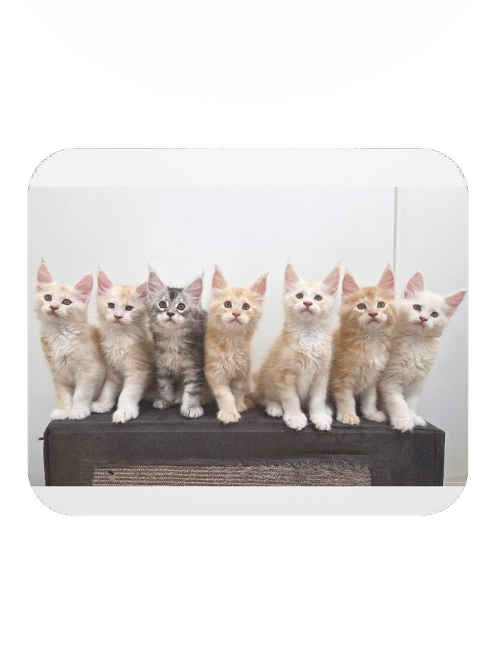 Freya's Kittens - Mouse Pad product image (2)