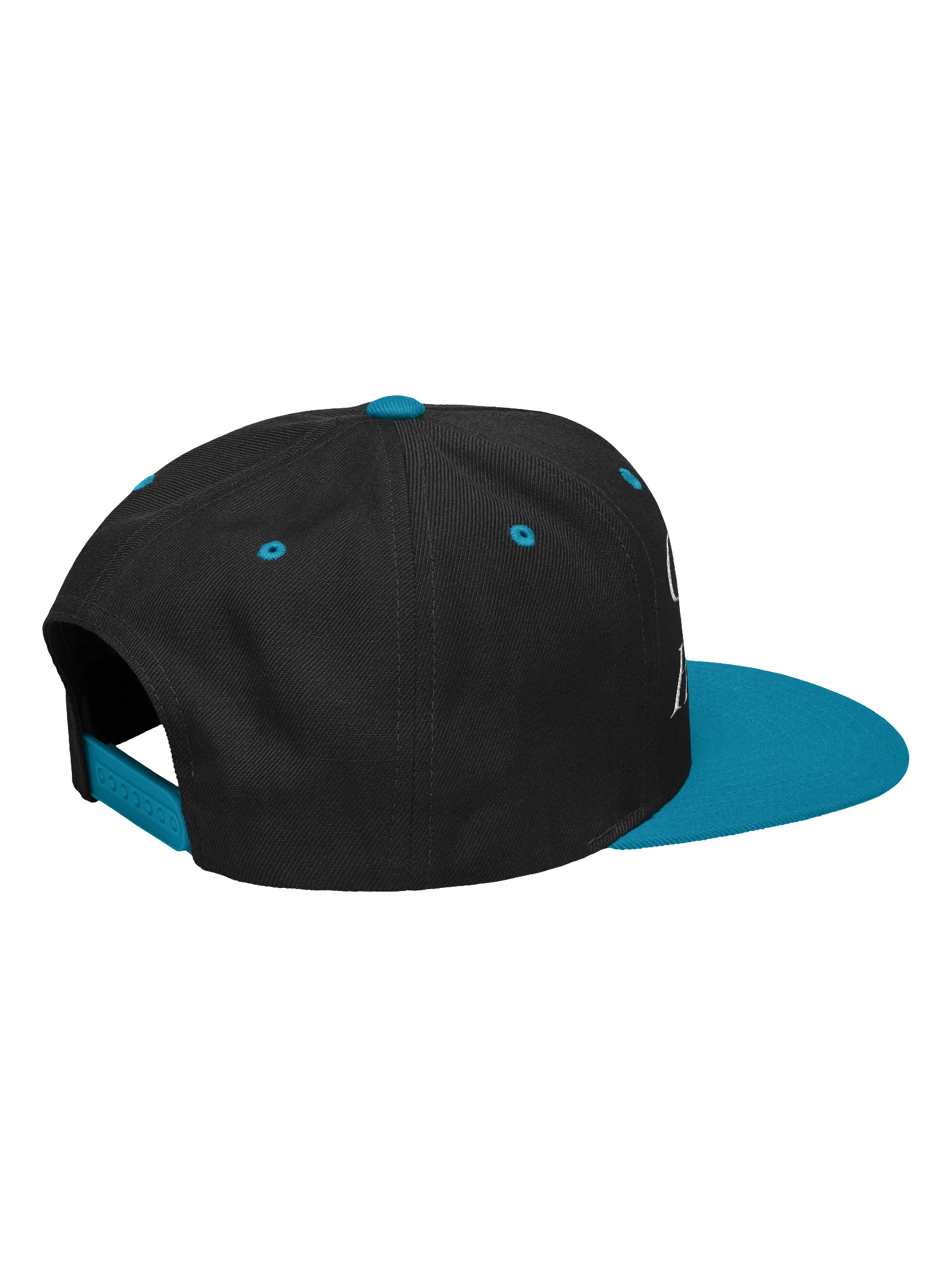 Great Girl Huge Bush Embroidered Snapback Hat, Funny Adult Humor product image (66)