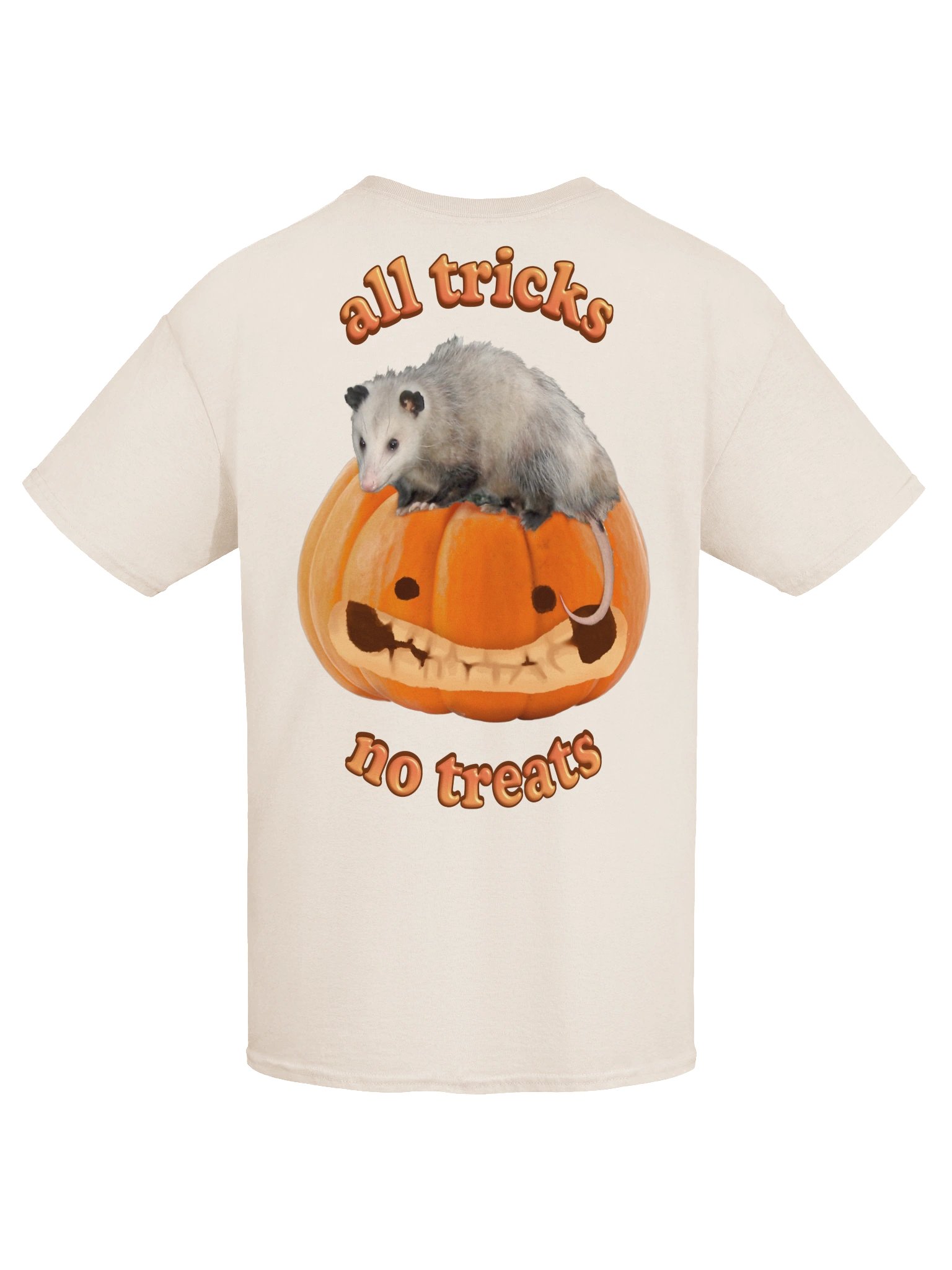 All Tricks No Treats [Double Sided]- Autumn Pumpkin Possum T-shirt product image (7)