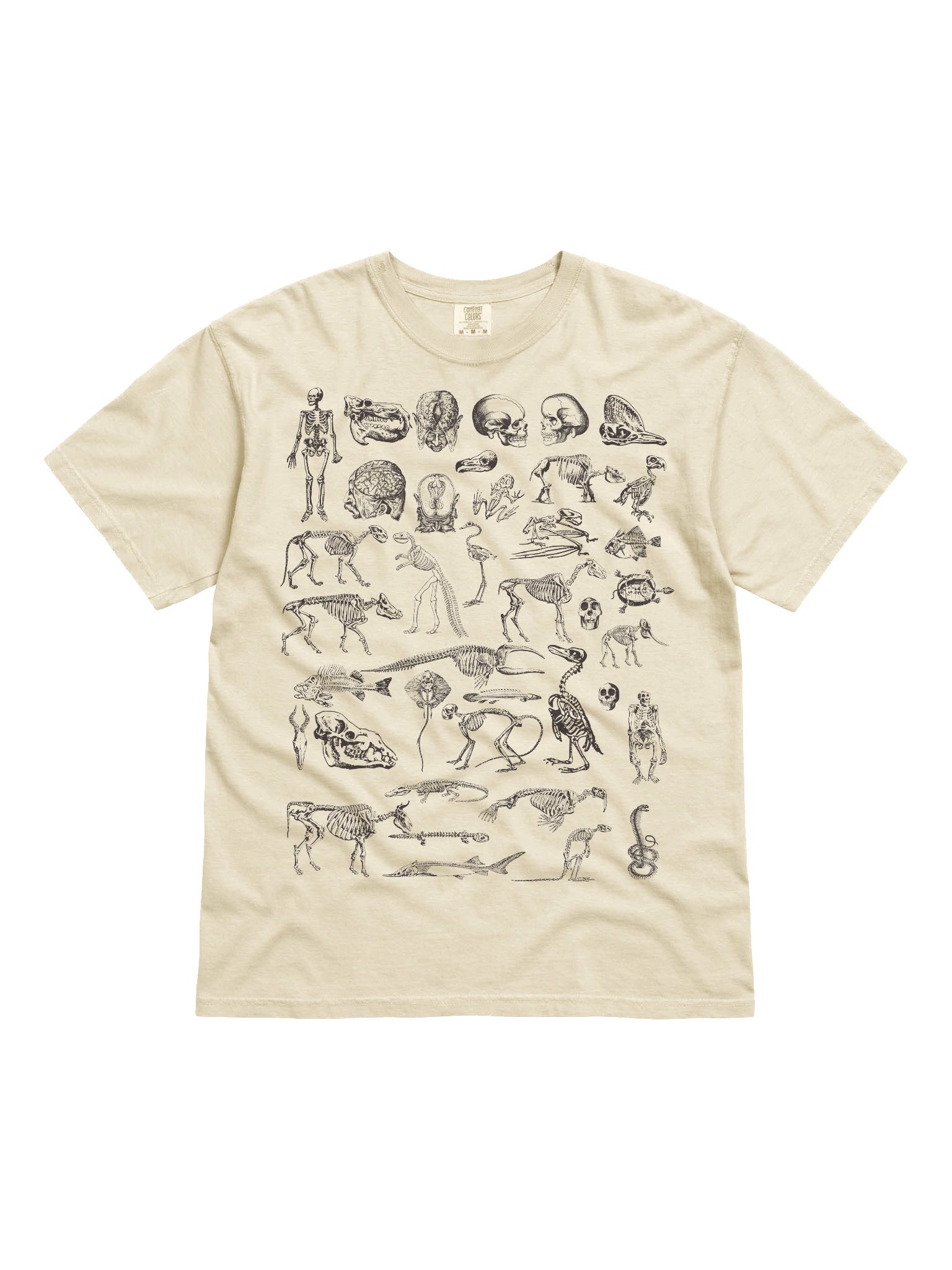 Dark Academia Skeletons Shirt – Vintage Anatomy Bones Illustration Graphic Tee product image (61)