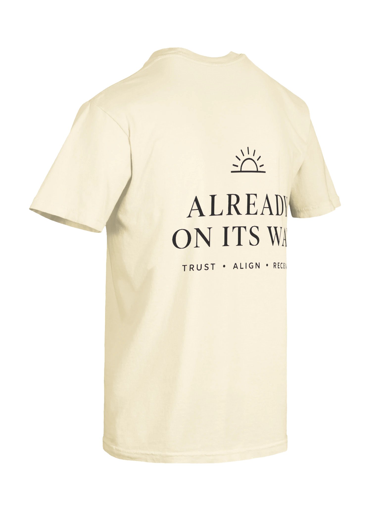Already On Its Way — Garment-Dyed Tee product image (29)
