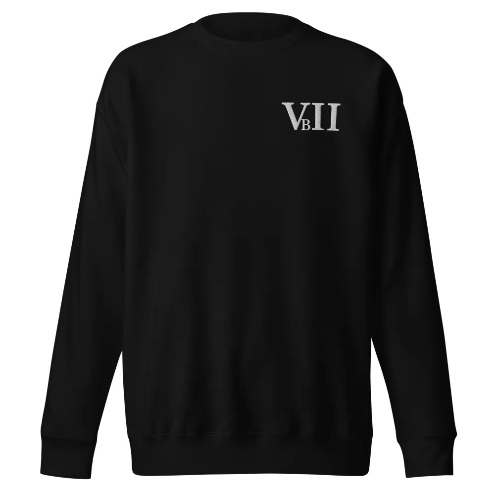 VBII Sweater product image (1)
