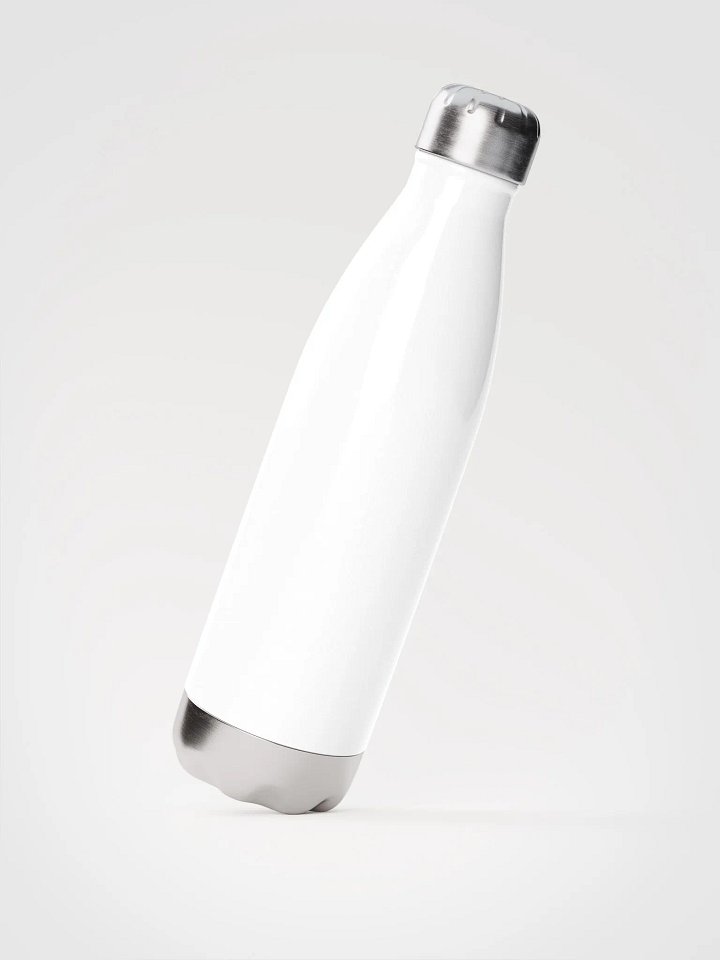 Stainless Steel Water Bottle 2025 product image (4)
