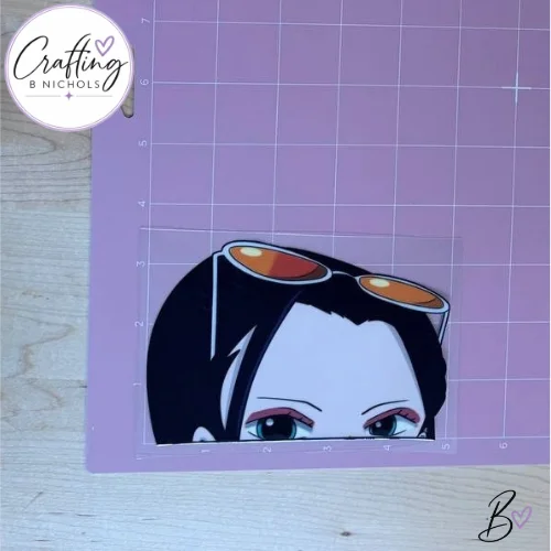 Robin Decal | Glossy UV DTF product image (3)