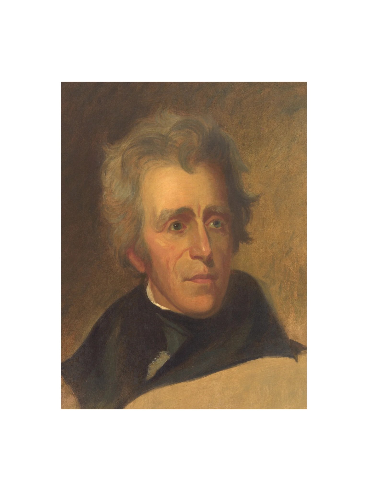 Andrew Jackson Portrait Poster product image (3)