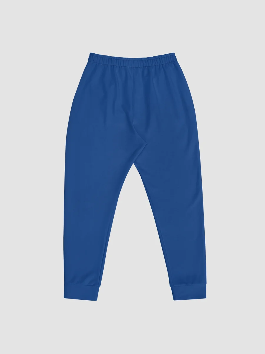 Project Winter Men's Joggers (Blue) product image (4)