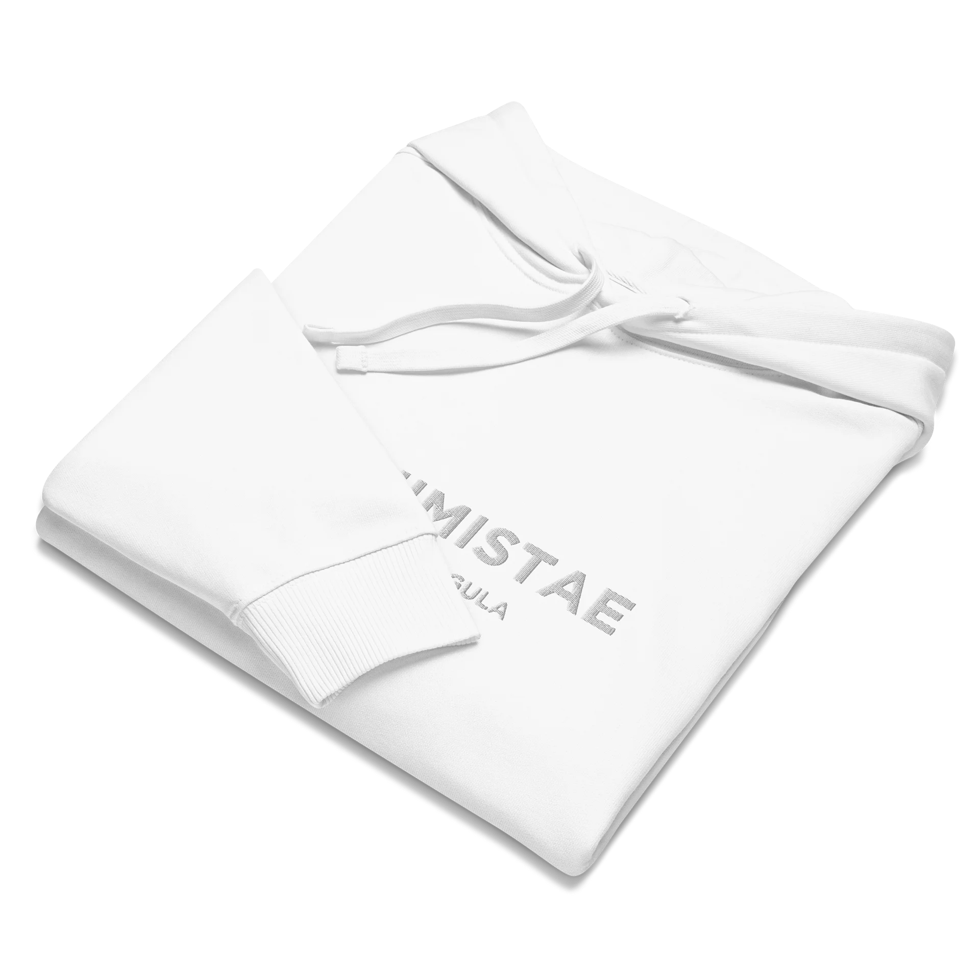 Hoodie Unisexe Oversize Coton Bio Poids Lourd - ALCHIMISTAE product image (9)