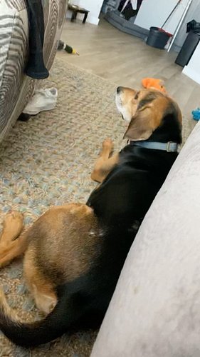 Not Jasper being undercover