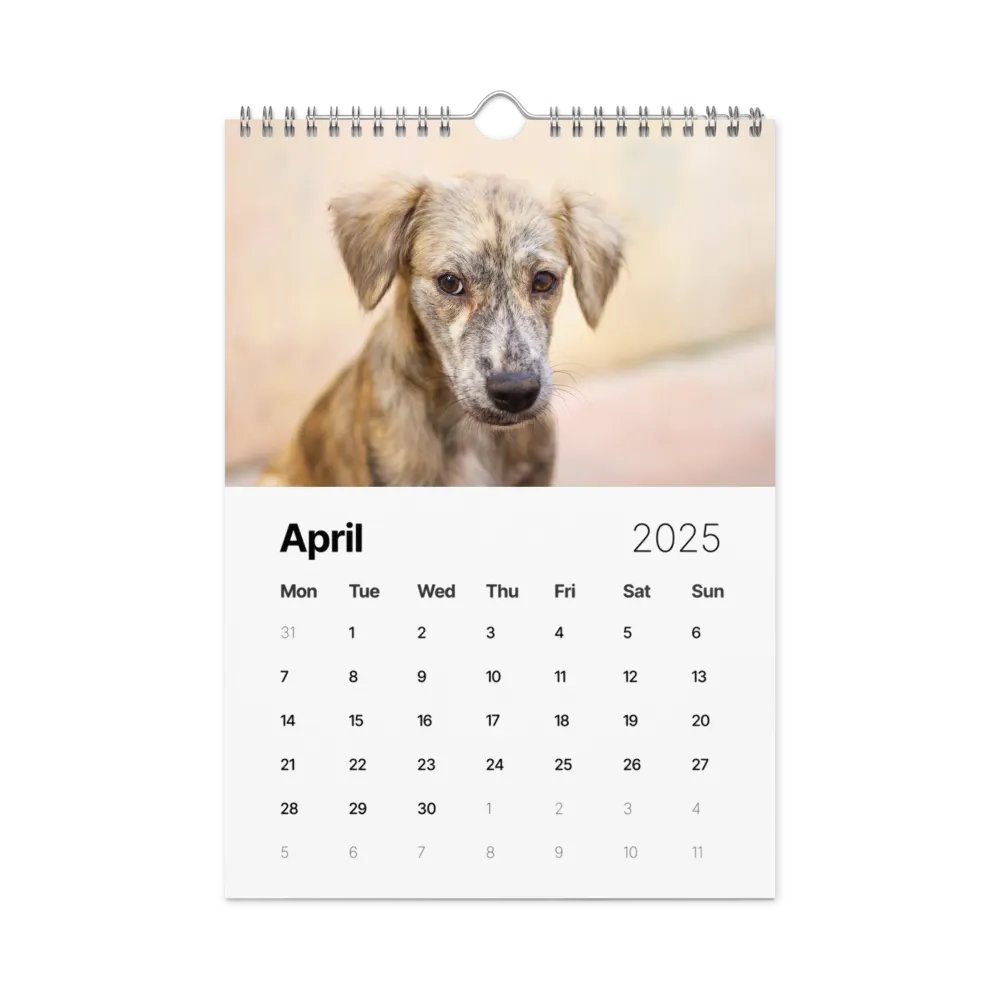 The first year - 2025 Calendar product image (5)