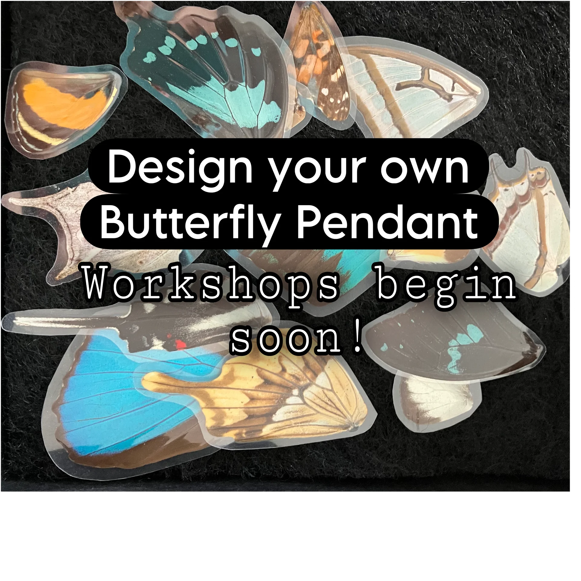 Wing Pendant Class product image (1)