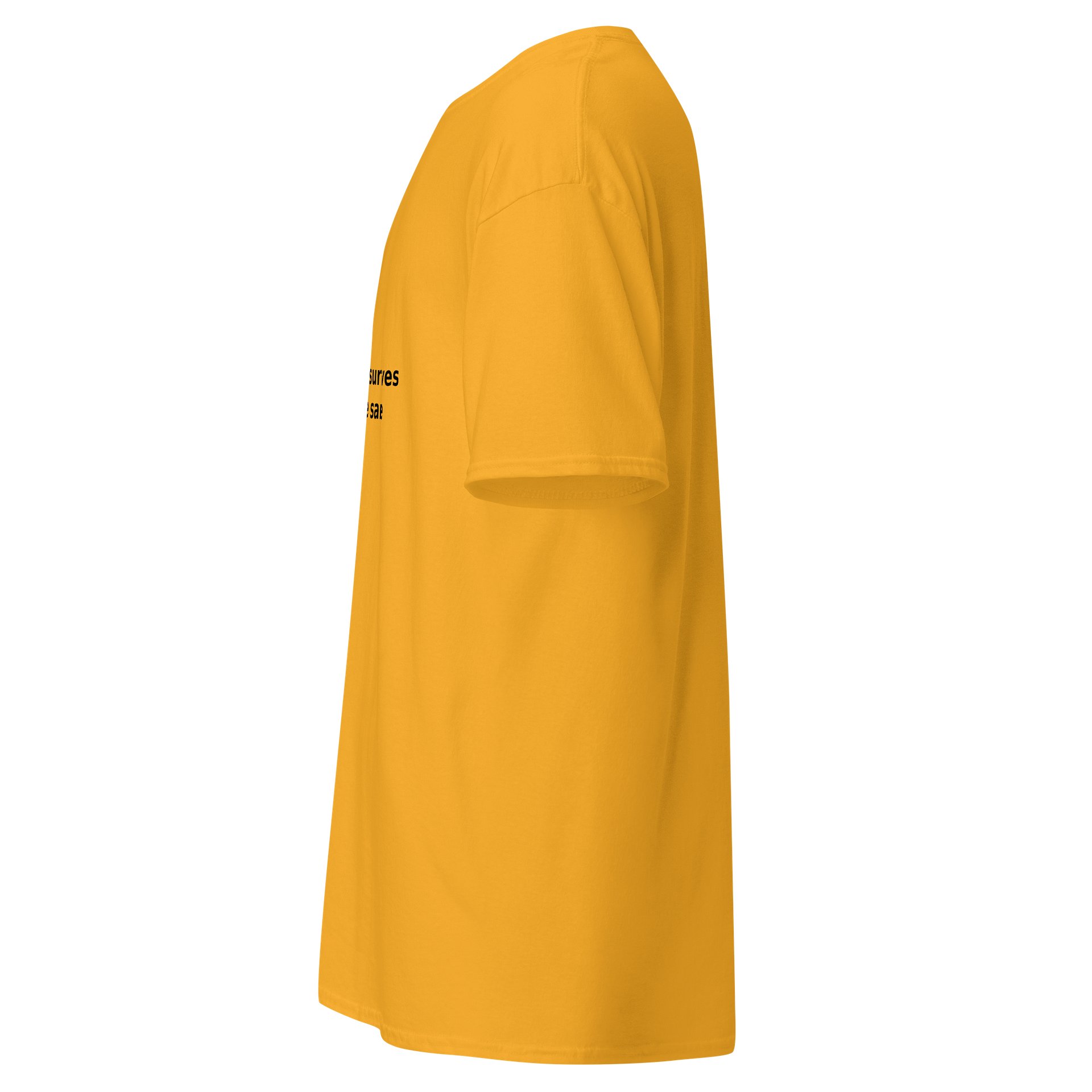 GBMT Not Everyone Survives Bullying The Same Premium Tee product image (5)