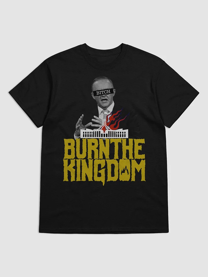 Albo T-Shirt product image (1)