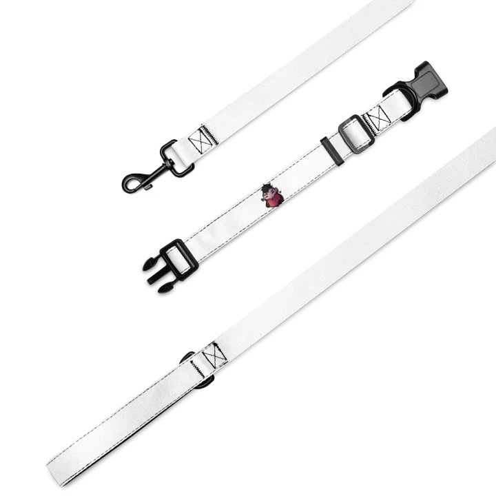 Cybersijn Pet Collar and Leash product image (1)