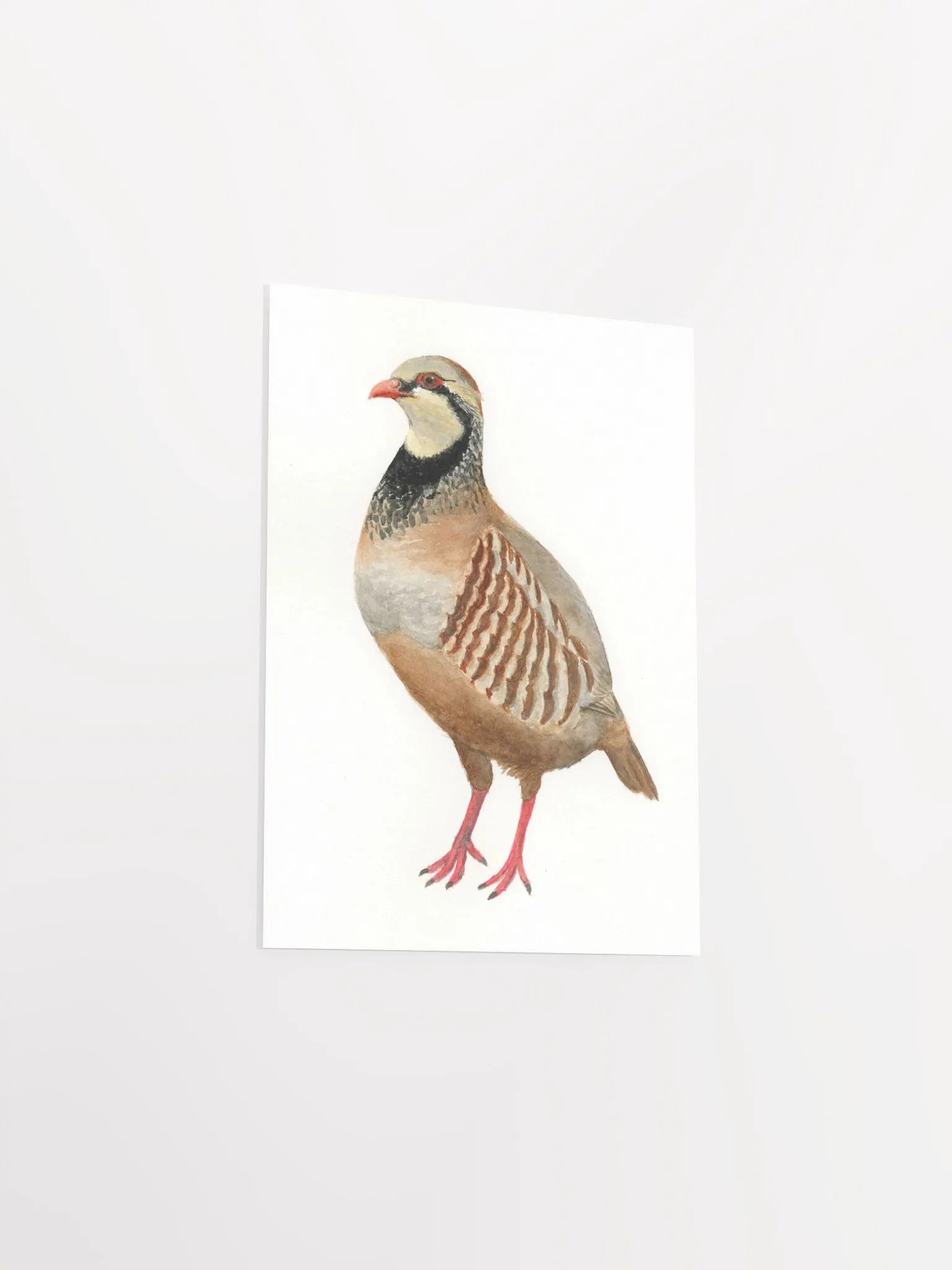 Partridge print product image (3)