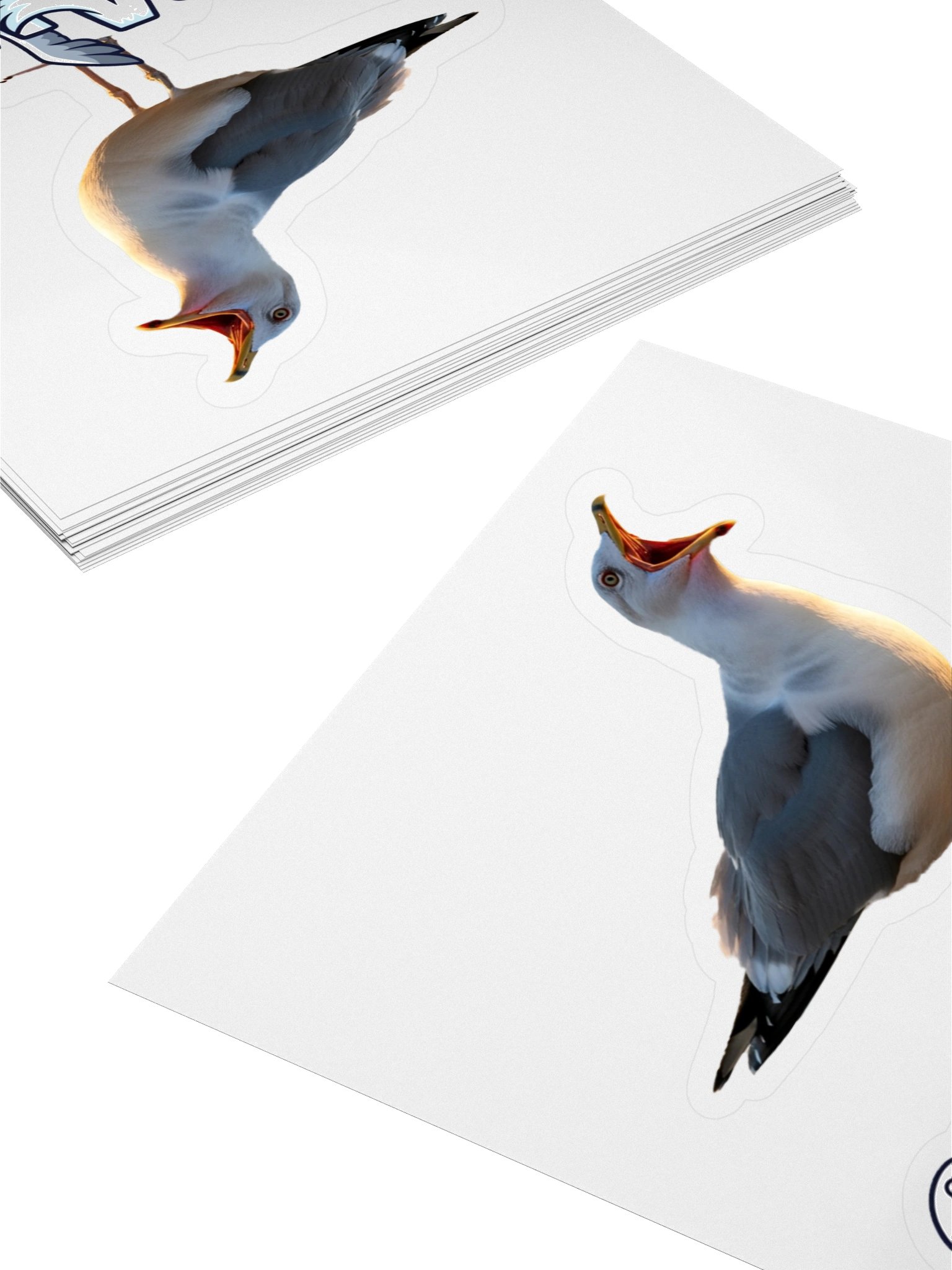 F CAW F Sticker product image (4)